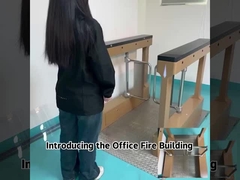 সিডব্লিউ৪৬৩